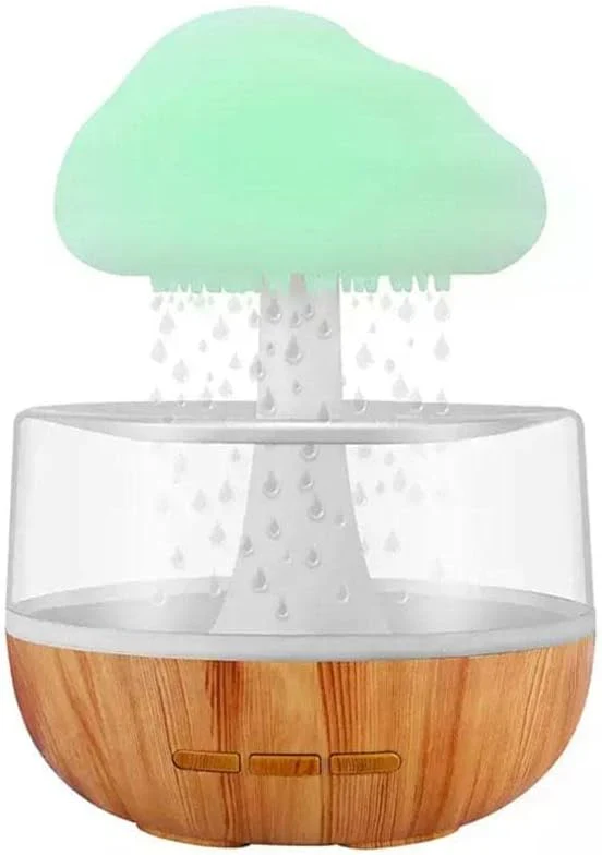 Rain cloud humidifier