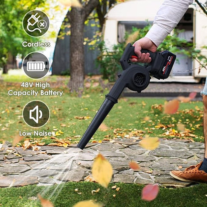 Cordless blower with 2 batteries