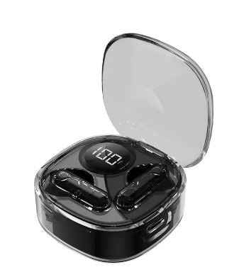 Apro 138 Transparent Earbuds – front view
