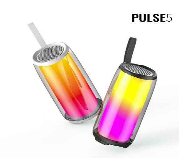 Pulse 5 Wireless Speaker – front view