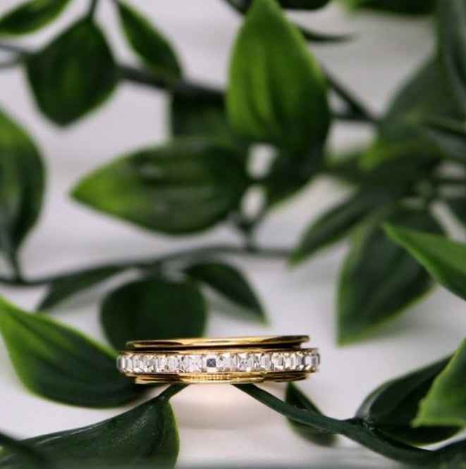 Fidget Spinner Ring – Stainless Steel