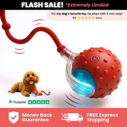 Electric Cat Rolling Ball