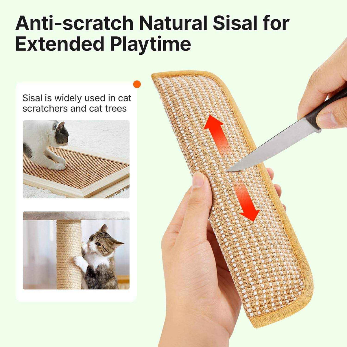 Anti-Scratch Catnip Chew Mat
