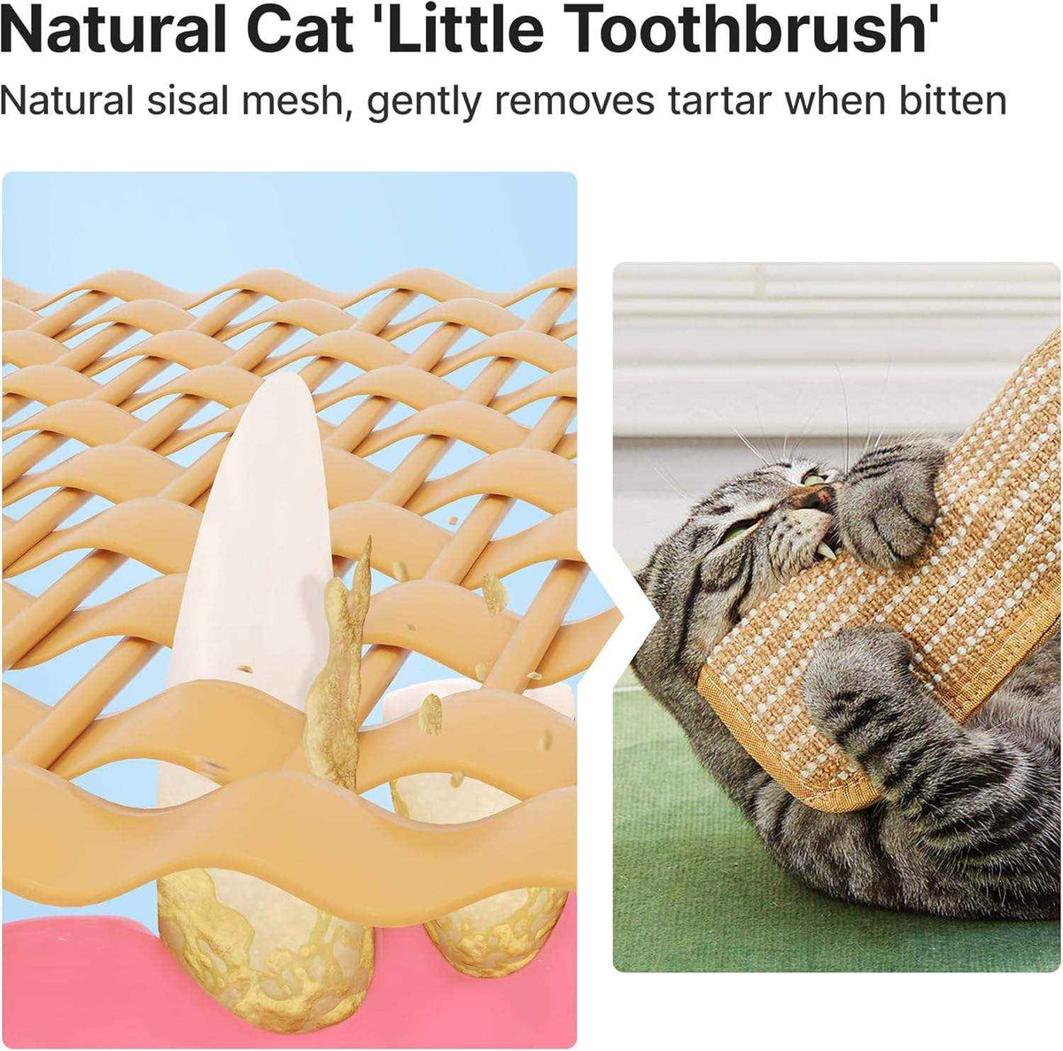 Anti-Scratch Catnip Chew Mat