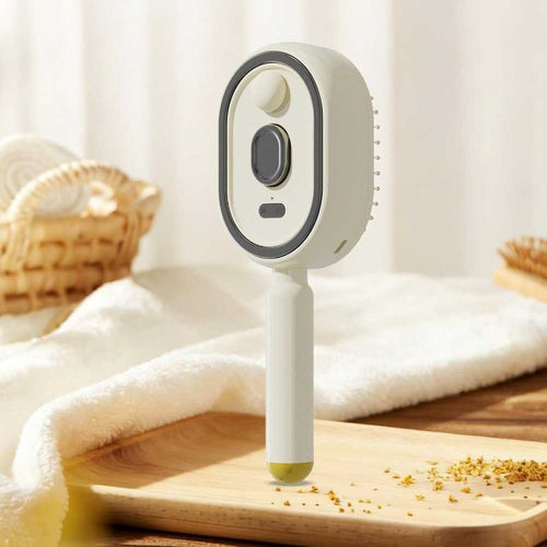 Rechargeable Steam Hair Brush 2-in-1